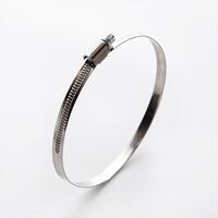 Хомут червячный W2 140-160мм (10шт) (универсальный), HCN-19 APRO