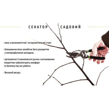 Секатор 250 мм PS-22250 ALLOID