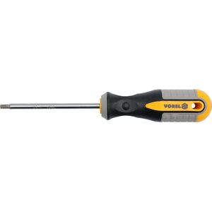 Викрутка зіркова TORX-Security Т40 х 100 мм. CrV, 60891 VOREL