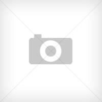 Вставка для разборки стойки амортизатора (Torx ) T50 (1022-83 Force)