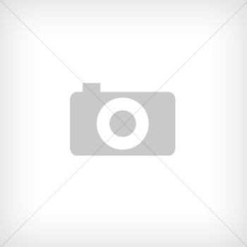 Вставка для разборки стойки амортизатора (Torx ) T50 (1022-83 Force)