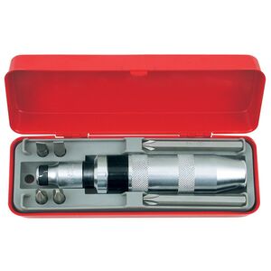 AmPro. Ударная отвертка 1/2" с набором бит 5/16", 7 предметов (T17205)