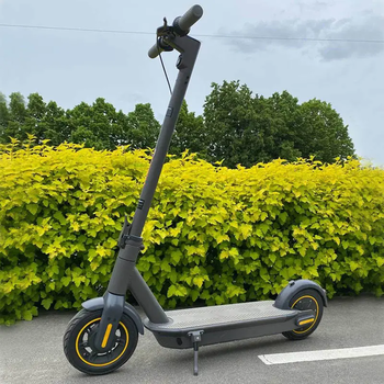 Электросамокат r803z, 500W, 36V10.4Ah, колесо 10", 150кг, 25-30км, 30км/ч [r803z/500 A3]