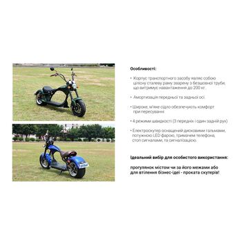 Электроскутер Chopper Citycoco 3000W, 60V20Ah, Green [r804-m3/3000Gn]