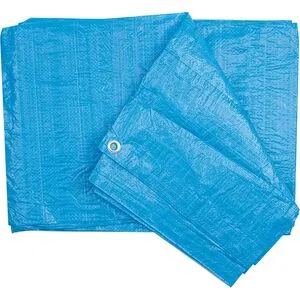 Тент 90гр/м2, 2х3м (85020 Vorel)