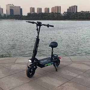 Електросамокат GT-01s, 1650W, 48V20Ah, колесо 10", 200кг, до 40км, 45км/ч (GT01s/1650W)