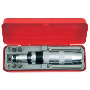 AmPro. Ударная отвертка 1/2" с набором бит 5/16", 7 предметов (T17205)