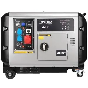 Дизельный генератор TAGRED TA10300TDS